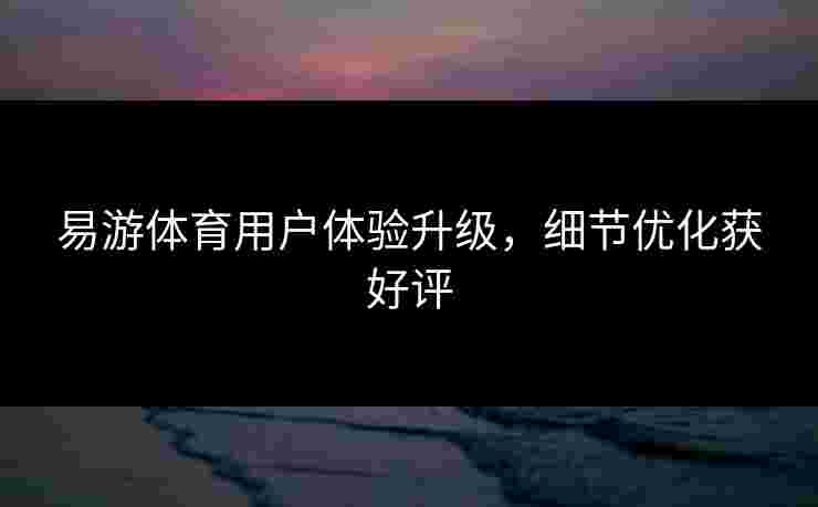 易游体育用户体验升级，细节优化获好评